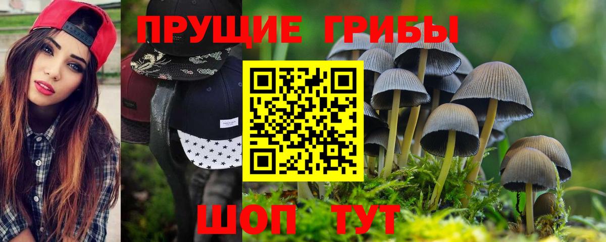 Псилоцибиновые грибы прущие грибы Кулебаки